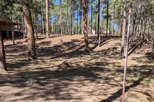 2425 Tall Trees Loop, Forest Lakes, AZ 85931 - Photo 40