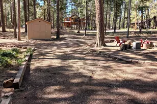 2425 Tall Trees Loop, Forest Lakes, AZ 85931 - Photo 10
