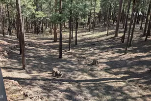 2425 Tall Trees Loop, Forest Lakes, AZ 85931 - Photo 30