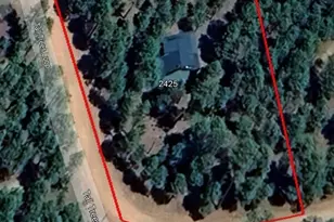 2425 Tall Trees Loop, Forest Lakes, AZ 85931 - Photo 44