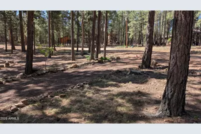 2425 Tall Trees Loop, Forest Lakes, AZ 85931 - Photo 40