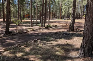 2425 Tall Trees Loop, Forest Lakes, AZ 85931 - Photo 40