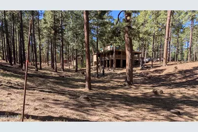 2425 Tall Trees Loop, Forest Lakes, AZ 85931 - Photo 42