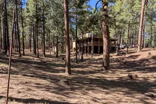 2425 Tall Trees Loop, Forest Lakes, AZ 85931 - Photo 42