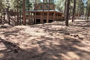 2425 Tall Trees Loop, Forest Lakes, AZ 85931 - Photo 38