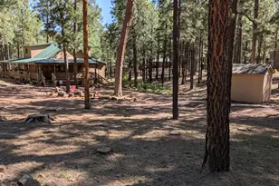 2425 Tall Trees Loop, Forest Lakes, AZ 85931 - Photo 38
