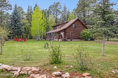 1289 Merzville Road, Forest Lakes, AZ 85931 - Photo 52