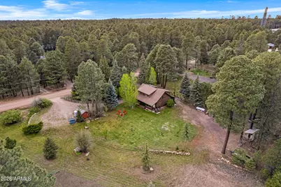 1289 Merzville Road, Forest Lakes, AZ 85931 - Photo 56