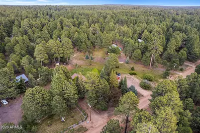 1289 Merzville Road, Forest Lakes, AZ 85931 - Photo 54