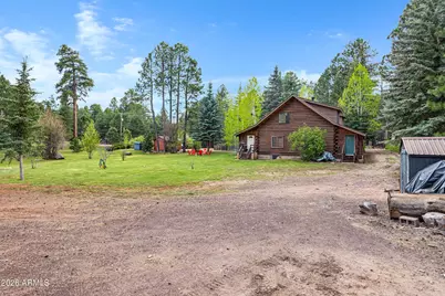 1289 Merzville Road, Forest Lakes, AZ 85931 - Photo 50