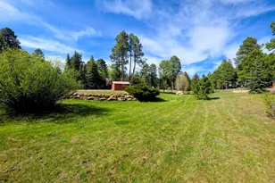 1289 Merzville Rd, Forest Lakes, AZ 85931 - Photo 6
