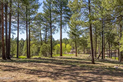 3655 S Woodland Hills Lot #366 Drive, Flagstaff, AZ 86005 - Photo 10
