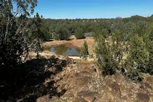 10777 W Raging Crab Rd, Ash Fork, AZ 86320 - Photo 30
