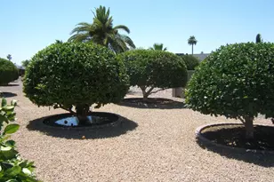 18002 N 135th Dr, Sun City West, AZ 85375 - Photo 16