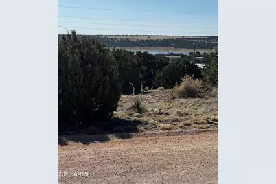 60 Short Lane #207A, Concho, AZ 85924 - Photo 4