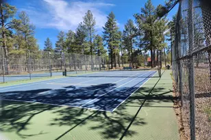 2700 S Woodland Hills Ln, Pinetop, AZ 85935 - Photo 34