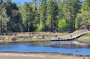2700 S Woodland Hills Ln, Pinetop, AZ 85935 - Photo 32