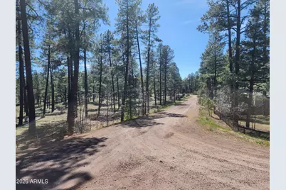2700 S Woodland Hills Lane, Pinetop, AZ 85935 - Photo 26