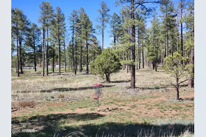 2700 S Woodland Hills Lane, Pinetop, AZ 85935 - Photo 8