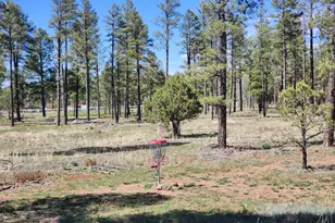 2700 S Woodland Hills Ln, Pinetop, AZ 85935 - Photo 8