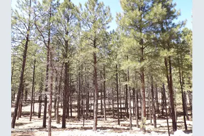 4269 Juniper Drive #1, Happy Jack, AZ 86024 - Photo 24