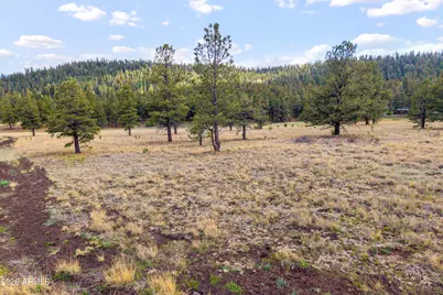 15 N 1330 -- #35A, Greer, AZ 85927 - Photo 10