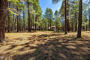 1947 Ferret Cir, Forest Lakes, AZ 85931 - Photo 30