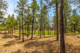 1734 E Mossy Oak Ct, Flagstaff, AZ 86005 - Photo 18