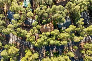 3218 Deep Forest Dr, Pinetop, AZ 85935 - Photo 6