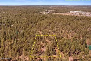 1204 Flores Dr, Show Low, AZ 85901 - Photo 42