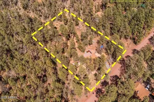 1204 Flores Dr, Show Low, AZ 85901 - Photo 40