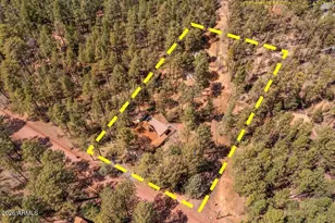 1204 Flores Dr, Show Low, AZ 85901 - Photo 38