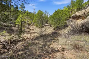 3318 Black Canyon Rd, Heber, AZ 85928 - Photo 64