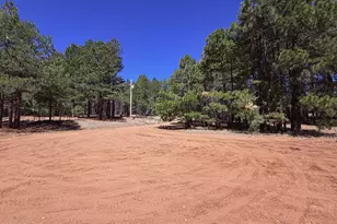 1053 Pond Cir, Forest Lakes, AZ 85931 - Photo 46