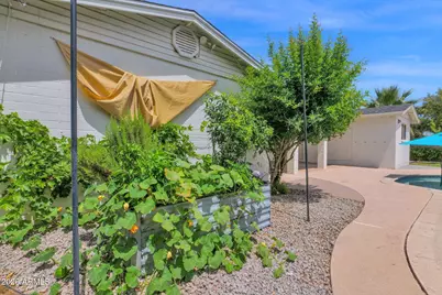 2343 W De Palma Circle, Mesa, AZ 85202 - Photo 54