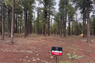 1945 Flower Spg Trl, Flagstaff, AZ 86005 - Photo 2