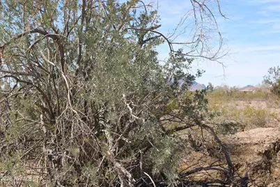 416Xx W Ocotillo Road #-, Tonopah, AZ 85354 - Photo 28