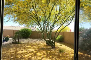 1513 W Bramble Berry Ln, Phoenix, AZ 85085 - Photo 22