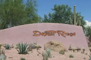 4525 E Melinda Ln, Phoenix, AZ 85050 - Photo 28
