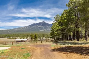 6610 N Snow Bowl Rd, Flagstaff, AZ 86001 - Photo 70