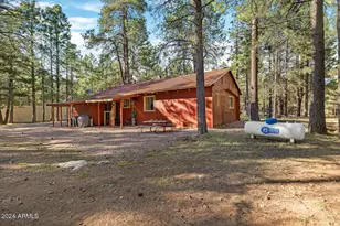 668 Mule Springs Trail, Forest Lakes, AZ 85931 - Photo 26