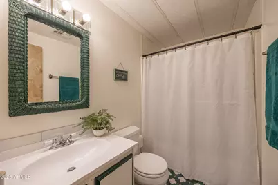 668 Mule Springs Trail, Forest Lakes, AZ 85931 - Photo 16