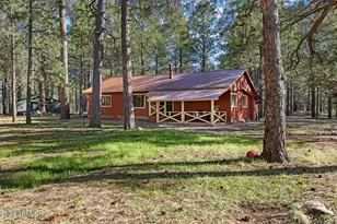 668 Mule Springs Trail, Forest Lakes, AZ 85931 - Photo 2