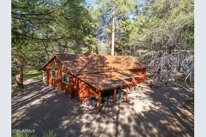 668 Mule Springs Trail, Forest Lakes, AZ 85931 - Photo 32