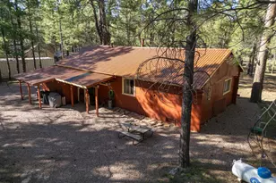 668 Mule Springs Trail, Forest Lakes, AZ 85931 - Photo 30