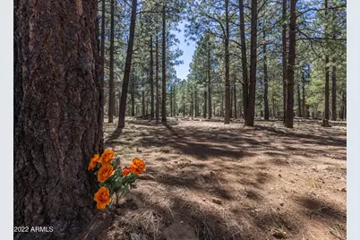 668 Mule Springs Trail, Forest Lakes, AZ 85931 - Photo 34