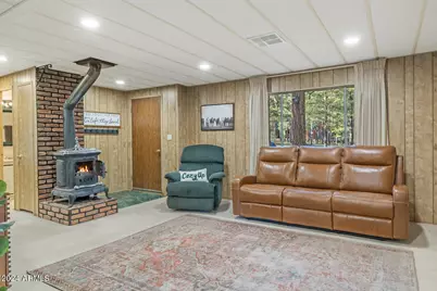 668 Mule Springs Trail, Forest Lakes, AZ 85931 - Photo 8