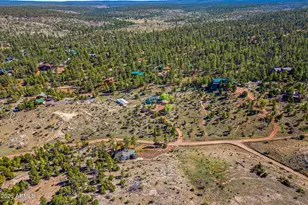 1841 Pine Cone Rd, Heber, AZ 85928 - Photo 42