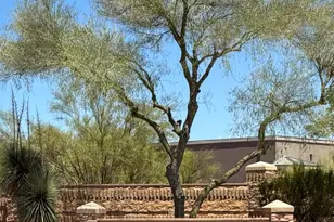 5317 E Gray Wolf Trail, Cave Creek, AZ 85331 - Photo 6