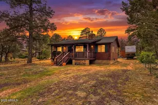 3524 N Buckskin Rd, Overgaard, AZ 85933 - Photo 2